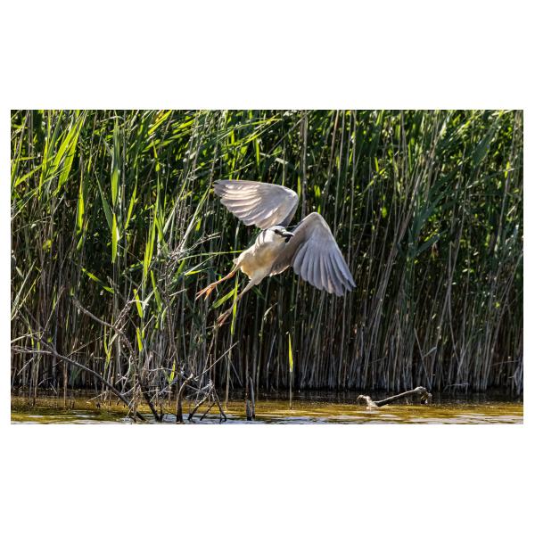 PHOTO84, CLUB, 84 , LUBERON